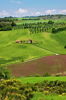 Vacationing: Europe, Italy, Tuscany. Rolling Hills of