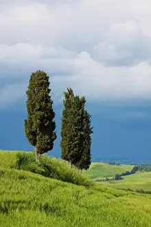 Refreshing: Europe, Italy, Tuscany. Rolling Hills of