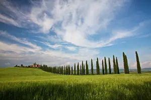 Refreshing: Europe, Italy, Tuscany. Rolling Hills of