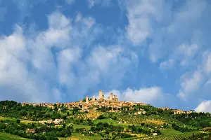 Dennis: Europe, Italy, Tuscany, San Gimignano. Vineyards