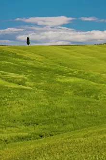 Fertility: Europe, Italy, Tuscany. Tuscan Green Rolling