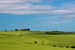 Siena: Europe, Italy, Tuscany. Tuscan Green Rolling