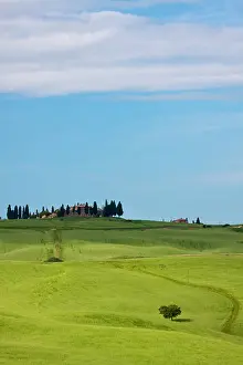 Siena: Europe, Italy, Tuscany. Tuscan Green Rolling
