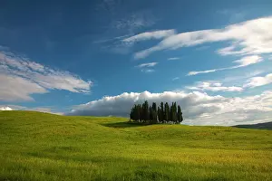 Productivity: Europe, Italy, Tuscany. Tuscan Hill Side