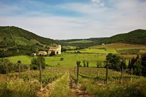 Occupation: Europe, Italy, Tuscany. Vineyards leading