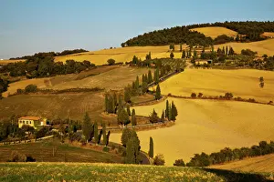Amber: Europe, Italy, Tuscany, Zig Zag Road Through