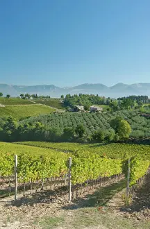 Umbria: Europe, Italy, Umbria, near Montefalco
