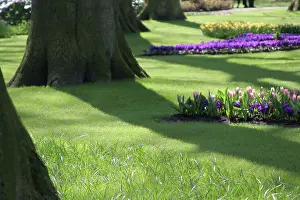 Connie: Europe, Netherlands, Keukenhof Gardens