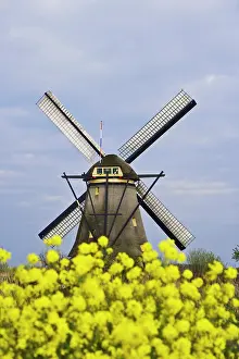 Dennis: Europe, Netherlands, Kinderdijk. Windmill