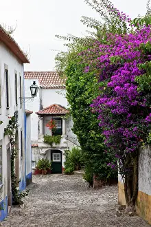 Obidos: Europe, Portugal, Leiria, Obidos. Street