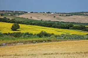 Julie: Europe, Spain, Andalusia, Cadiz Province