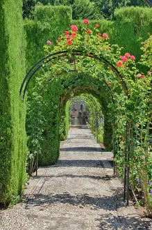 Julie: Europe, Spain, Granada, Alhambra. Archway