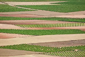 Julie: Europe, Spain, Granada. Crops of the Andalusia