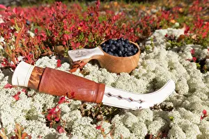Berry: European Blueberry