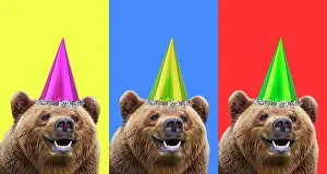 Celebrations: European Brown Bear, triptych three colours, wea