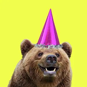 220719: European Brown Bear, wearing birthday party hat, smiling