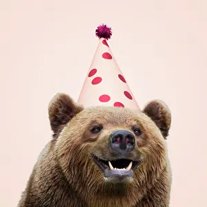 Party: European Brown Bear, wearing birthday party hat, smiling
