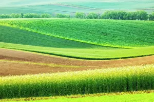 Moravia: European rural wallpaper, Moravian rolling lands