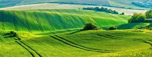 Patterned: European rural wallpaper, panorama of Moravian r