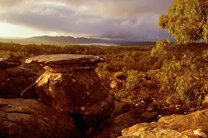 Grampians: Evening in the Grampians - mystic atmosphere in
