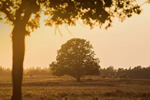 Gooi: Evening gymnastics