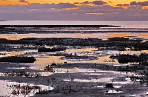 Dike: Evening landscape shortly after sunset with draining