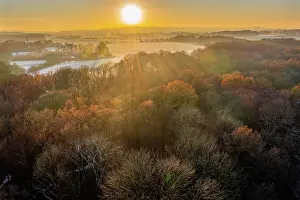 Early: Evening sun over autumn forest in early winter