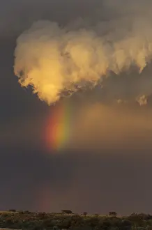 Rainbows: Evening thunderstorm with Cumulonimbus cloud and