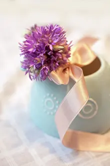 Ribbon: Everlastingflower