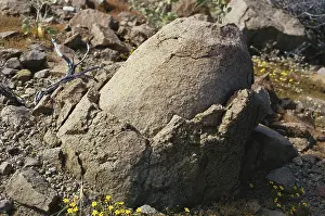 Flaking: Exfoliating Boulder