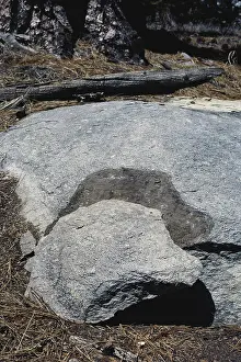 Jointing: Exfoliating Boulder