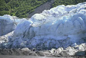 Fjords: Exit Glacier