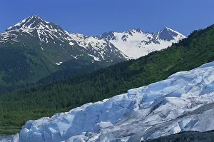 Fjords: Exit Glacier