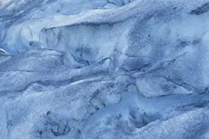 Fjords: Exit Glacier