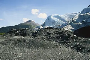 Fjords: Exit Glacier Moraine