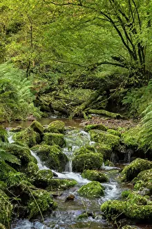 Humidity: Exmoor stream in autumn