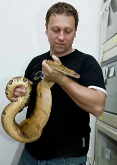 Handler: Exotic Species / Reptile Breeding Farm - Breeder and Python