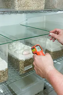 Tanks: Exotic Species / Reptile Breeding Farm - measuring