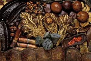 Exotics: Exotics products for floral compositions