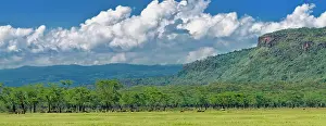 Expansive: Expansive acacia forest and clouds, Lake