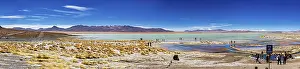 Overlook: Expansive view of a desert landscape with lake and mountains under a clear sky