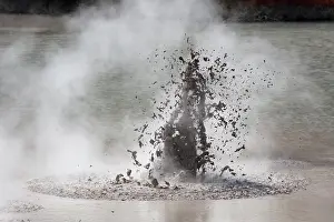 Thermal: An exploding hot mud pool in Wai-O-Tapu Thermal W