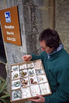 Confiscated: Exploitation - illegal bird egg collection, confiscated