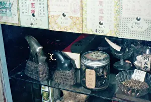 Shops: Exploitation - Rhion Horn in chinese medicine shop