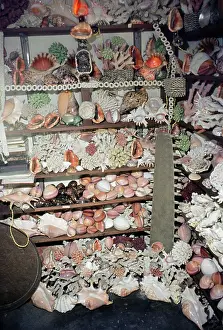Selling: Exploitation - shell souvenirs