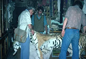 Sale: EXPLOITATION - Tiger skin for sale