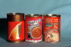 Sydney: Exploitation - Tin of shark fin soup sold in Sydney