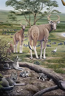 Reconstruction: Extinct African Animals