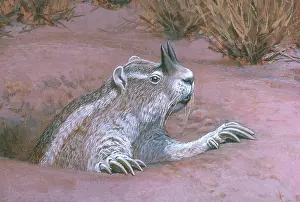Tertiary: Extinct Horned Gopher