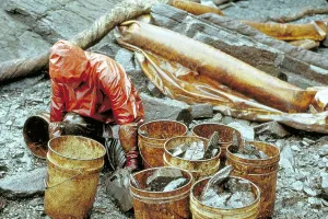Concerns: Exxon Valdez clean-up